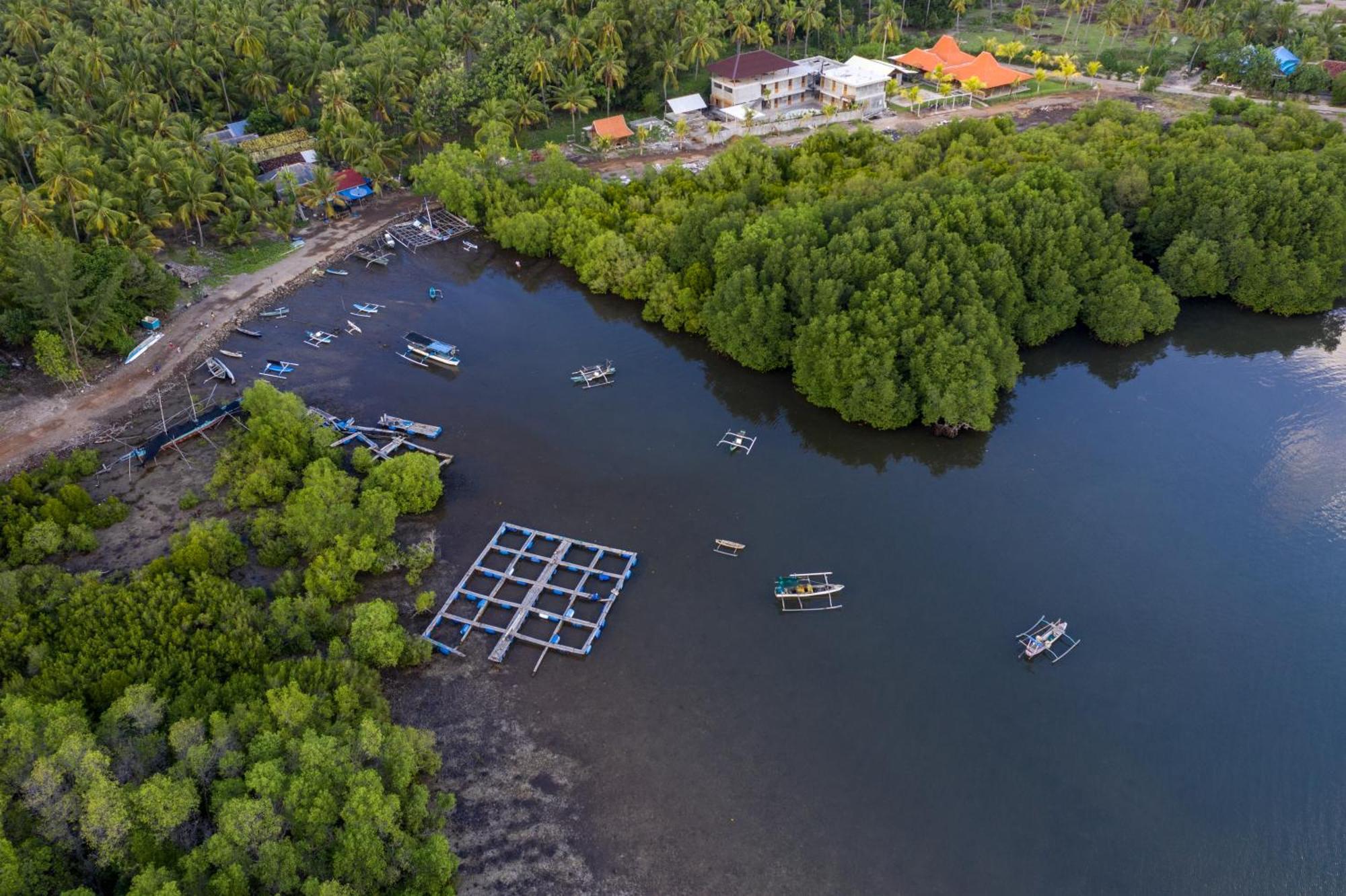Mangroove Bay Boutique Hostel Banyuwedang Екстериор снимка